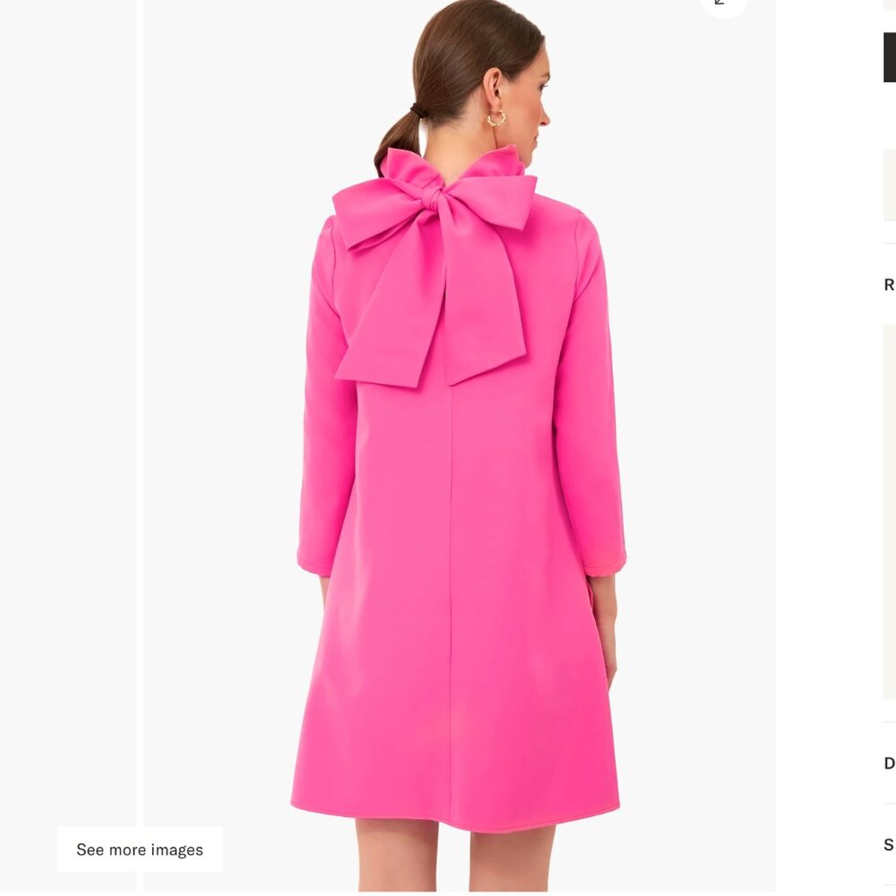 Tuckernuck Hot Pink Daphne Dress with Bow - worn once - Picture 2 of 2